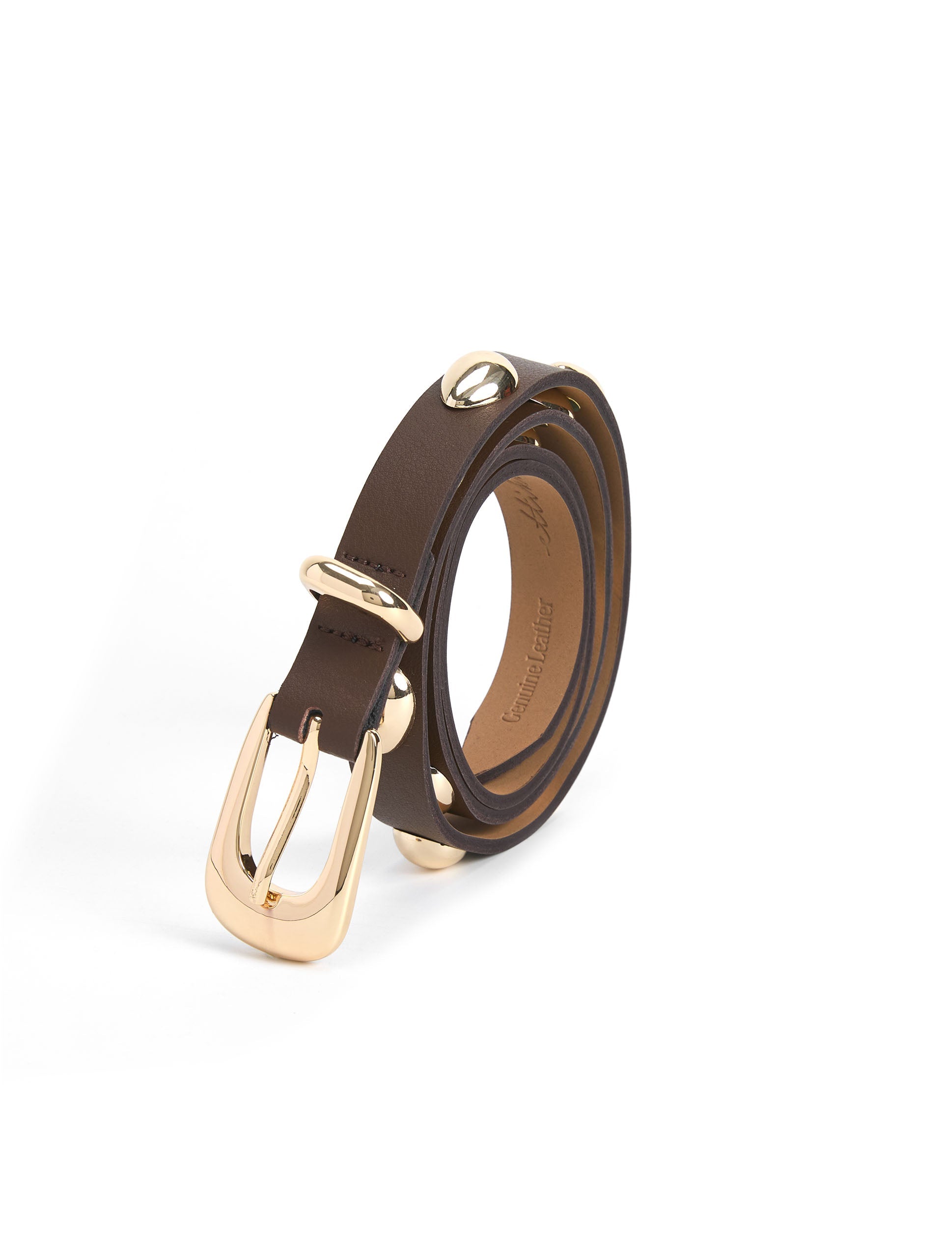 Teardrop Studded Belt in Coffee