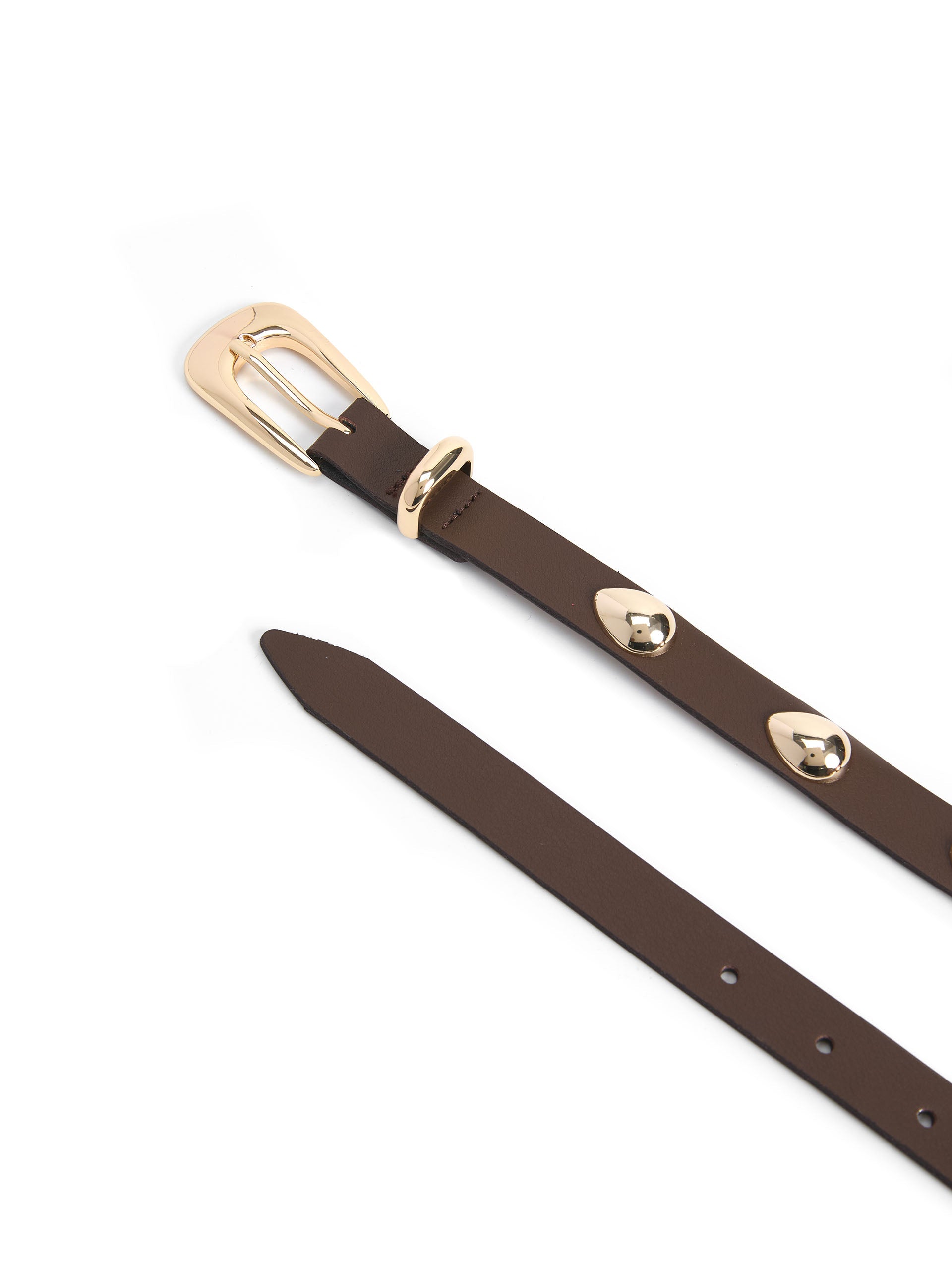 Teardrop Studded Belt in Coffee