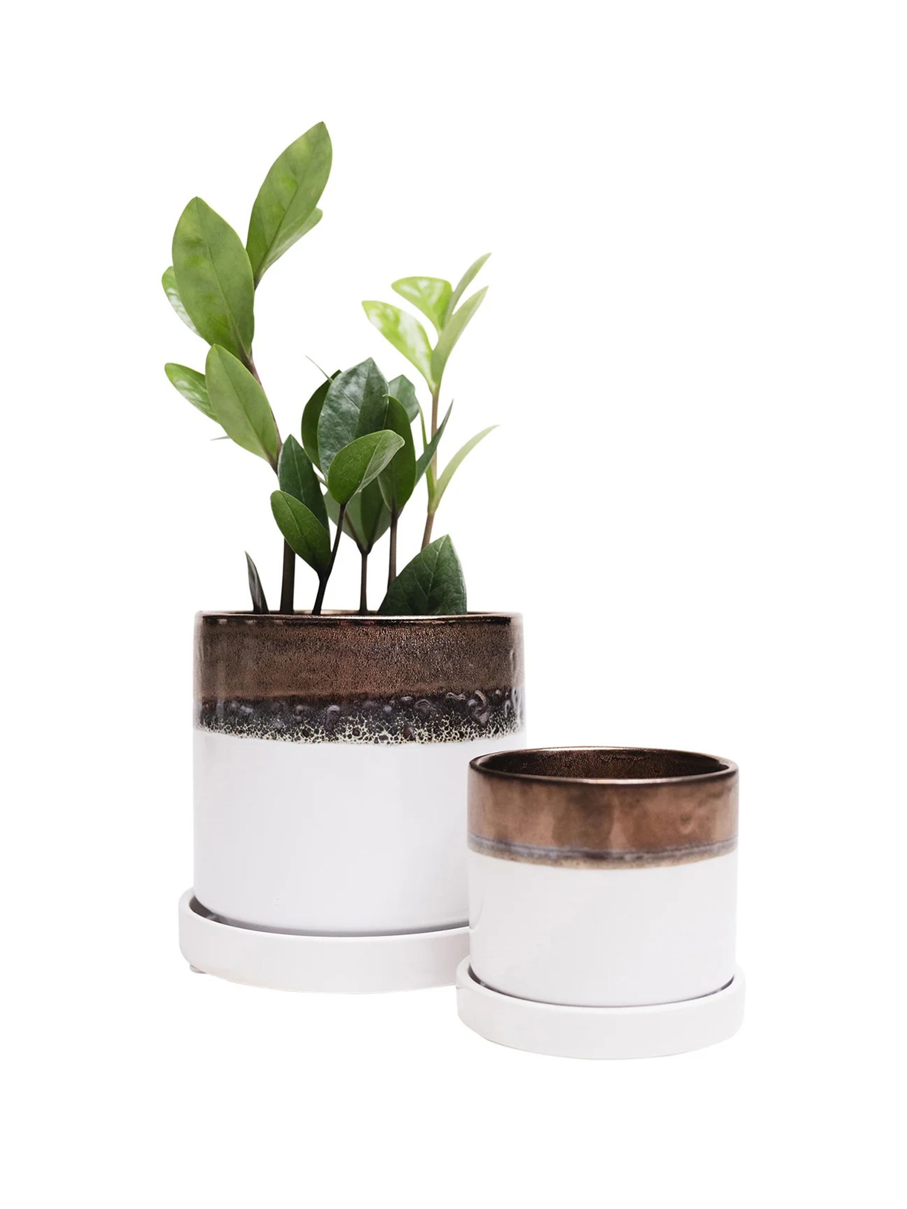 Bronze White Ceramic Plant Pot and Saucer