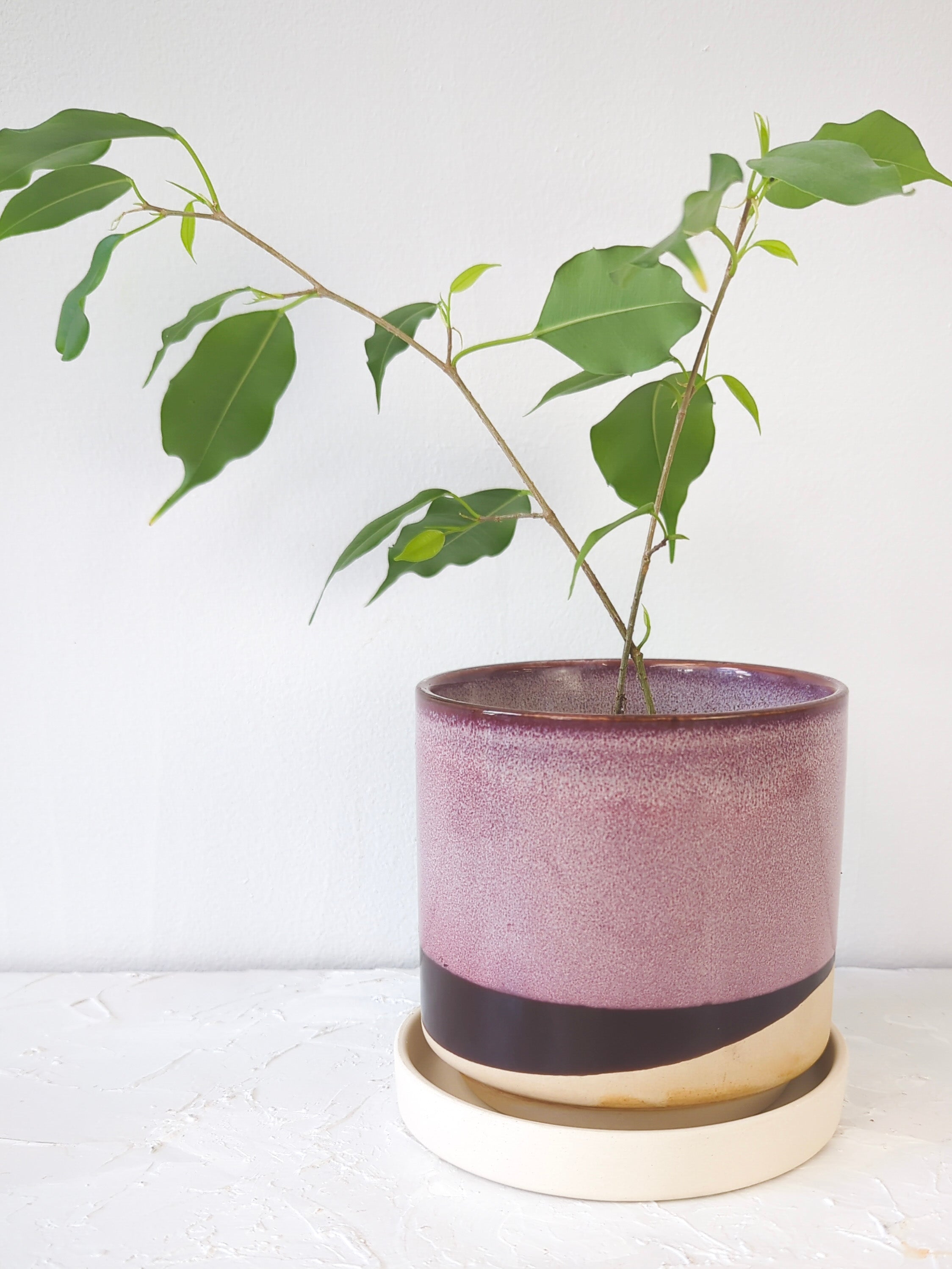 Burgundy Ceramic Plant Pot and Saucer