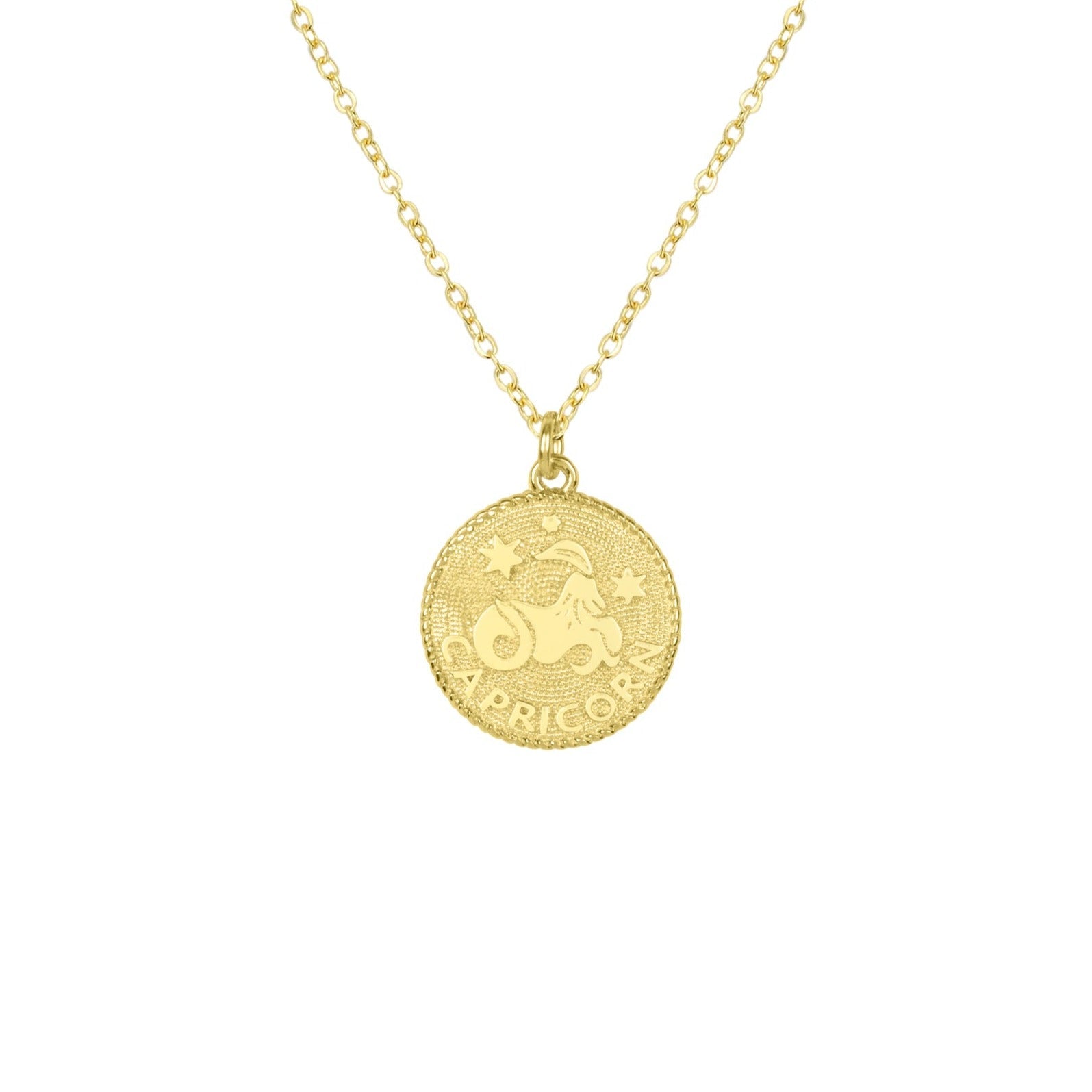 Capricorn Zodiac Necklace