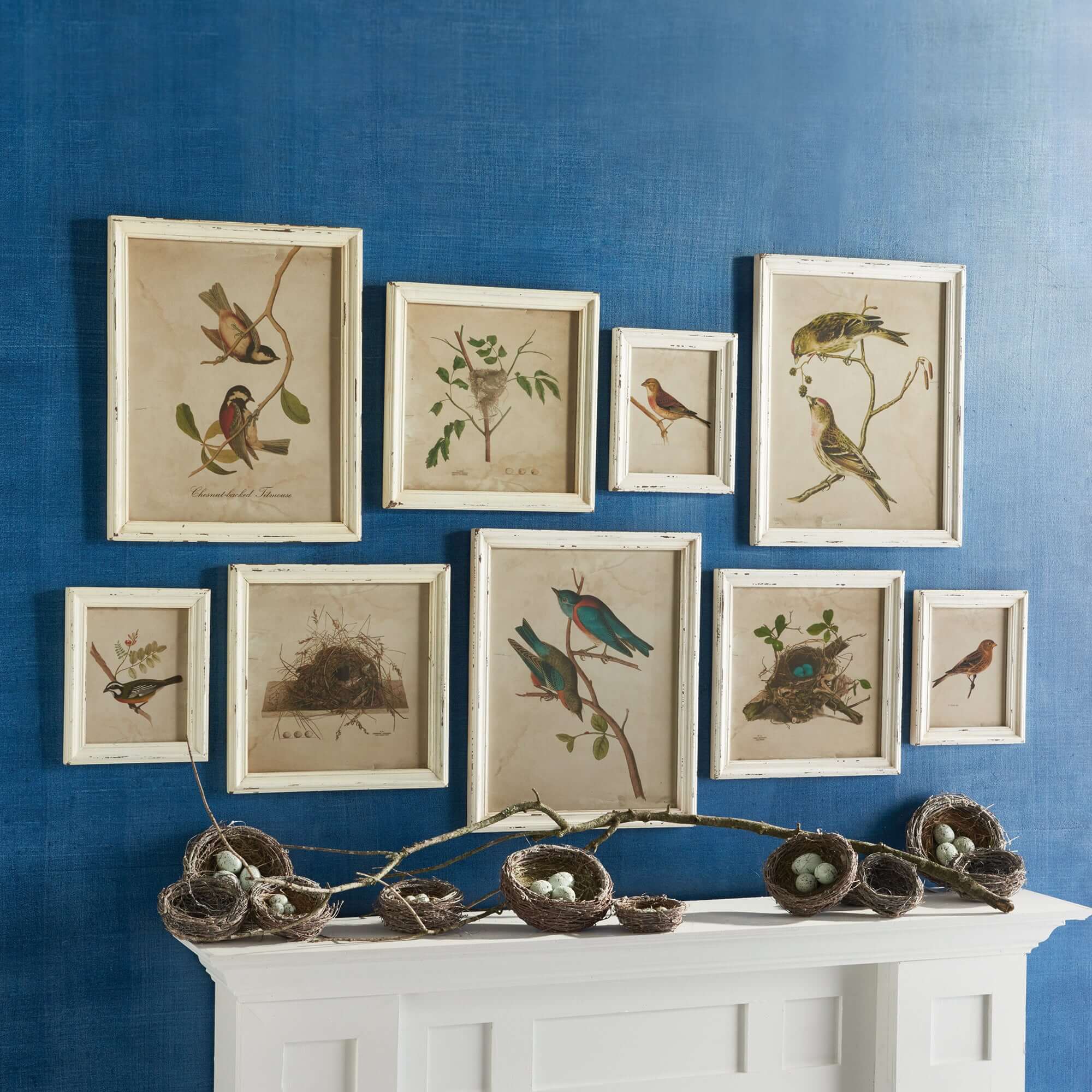 Cottagecore Bird Illustration and Nest Art Collection (Set of 9)