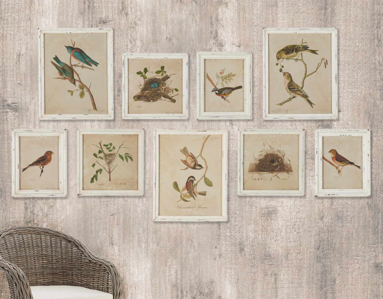 Cottagecore Bird Illustration and Nest Art Collection (Set of 9)
