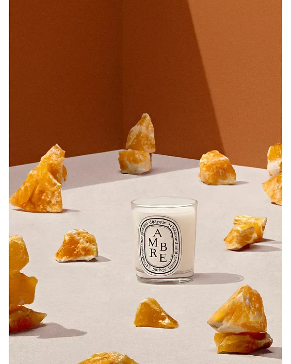 DIPTYQUE Ambre (Amber) Scented Candle 10.2 oz
