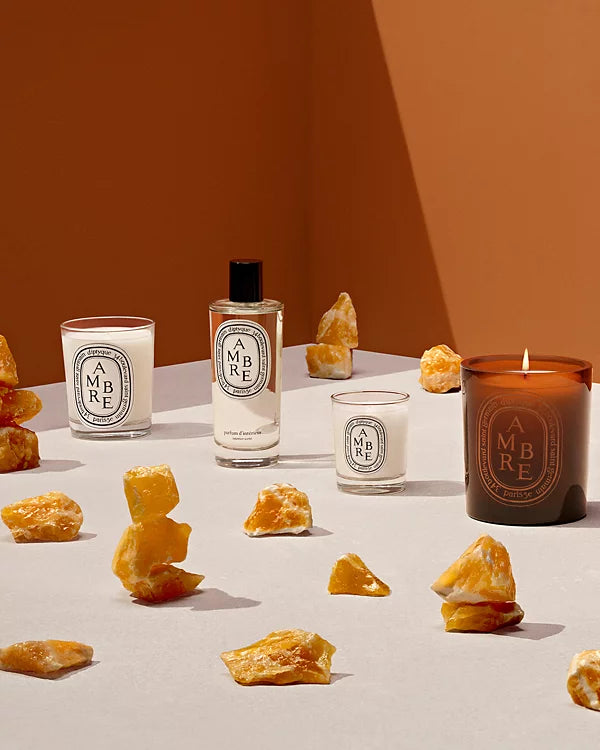 DIPTYQUE Ambre (Amber) Scented Candle 10.2 oz