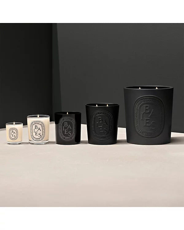 DIPTYQUE Black Baies (Berries) Scented Candle