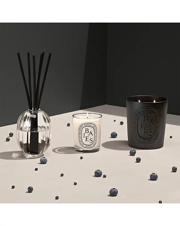 DIPTYQUE Black Baies (Berries) Scented Candle 21 oz