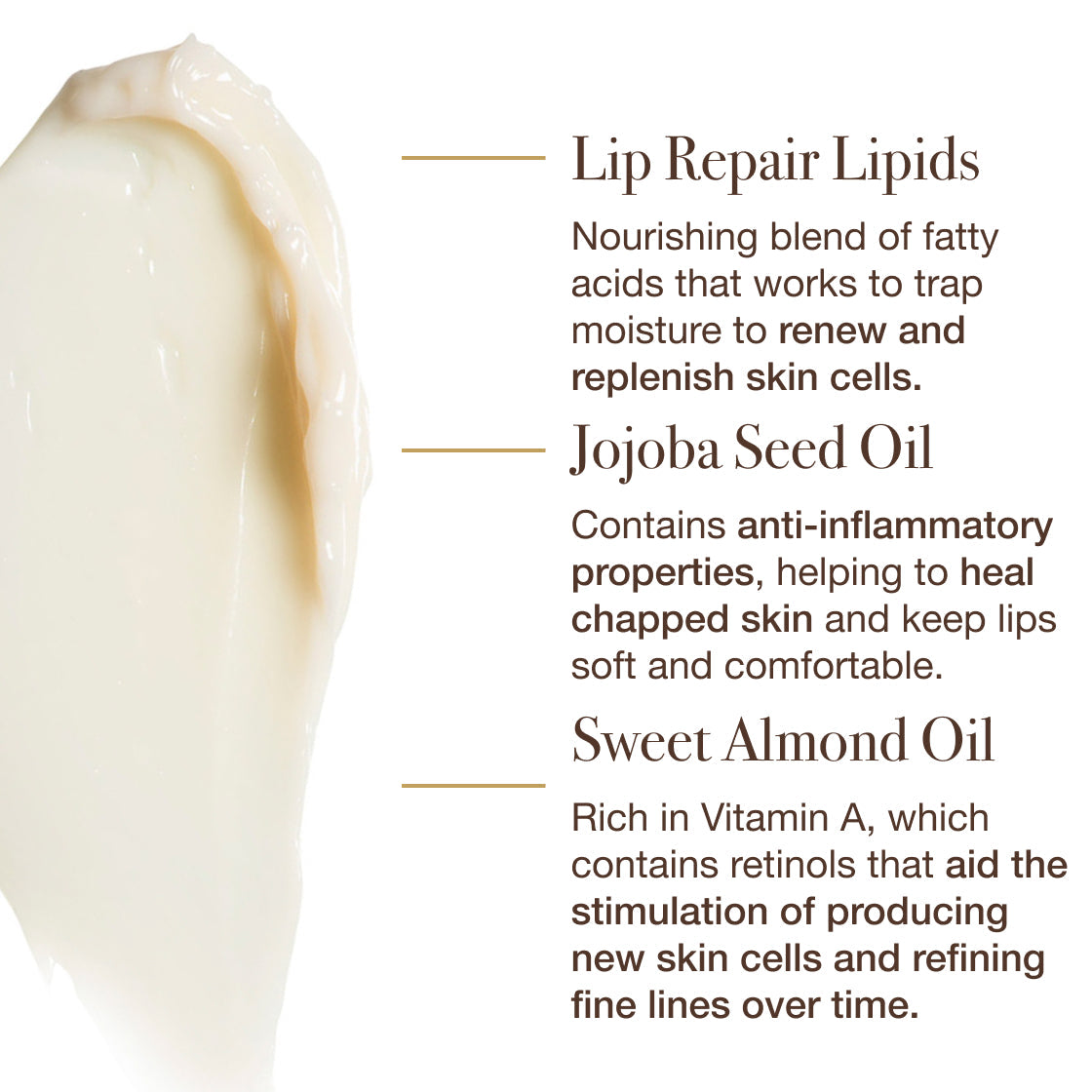 The Dream Slip® by Sara Happ