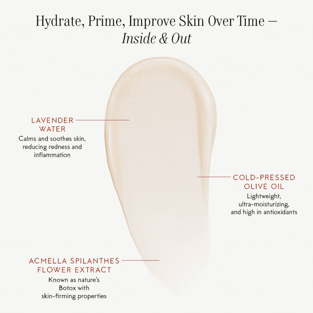 The Beautiful Primer--5ml