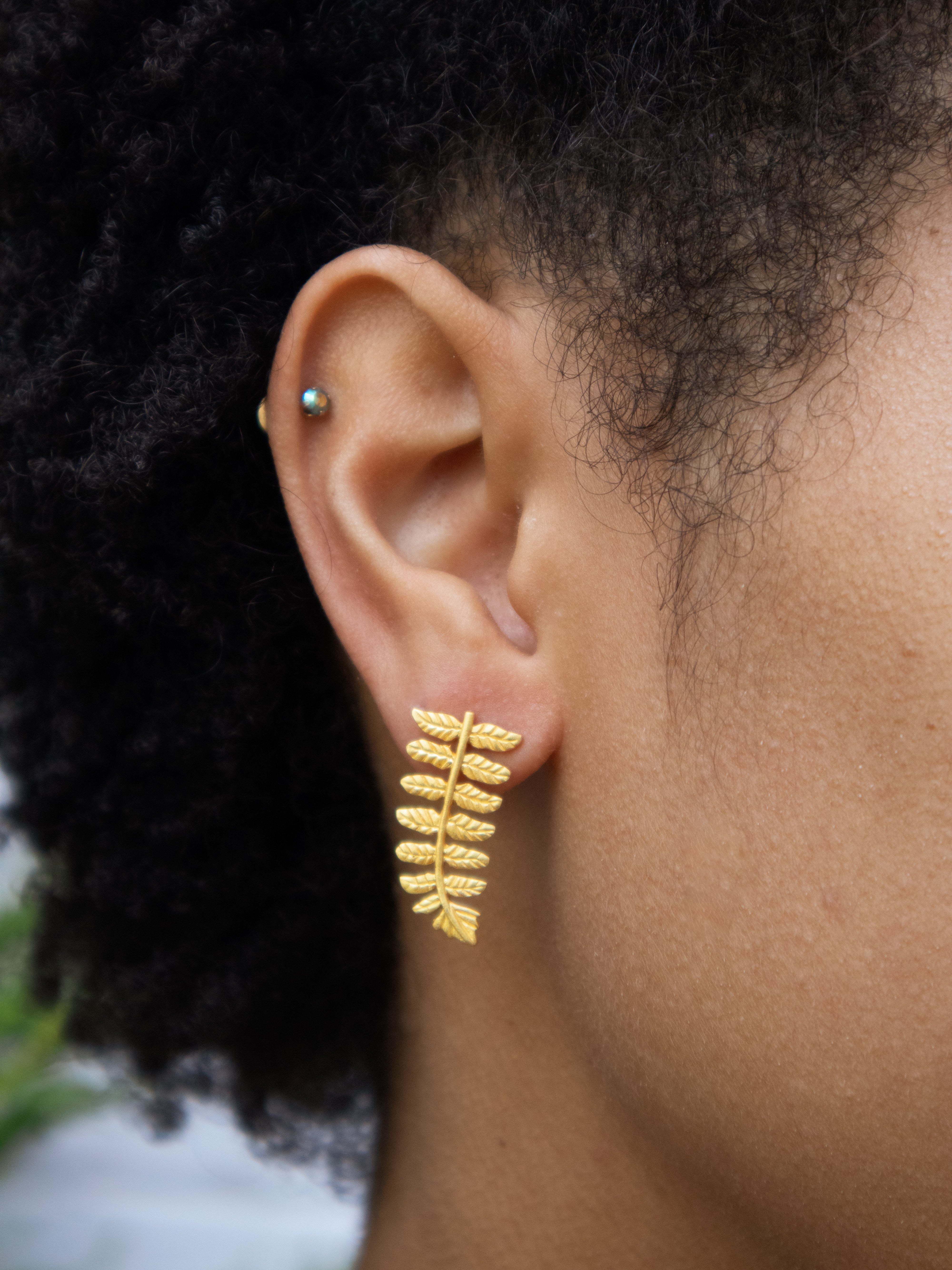 Dawnlight Fern Earrings