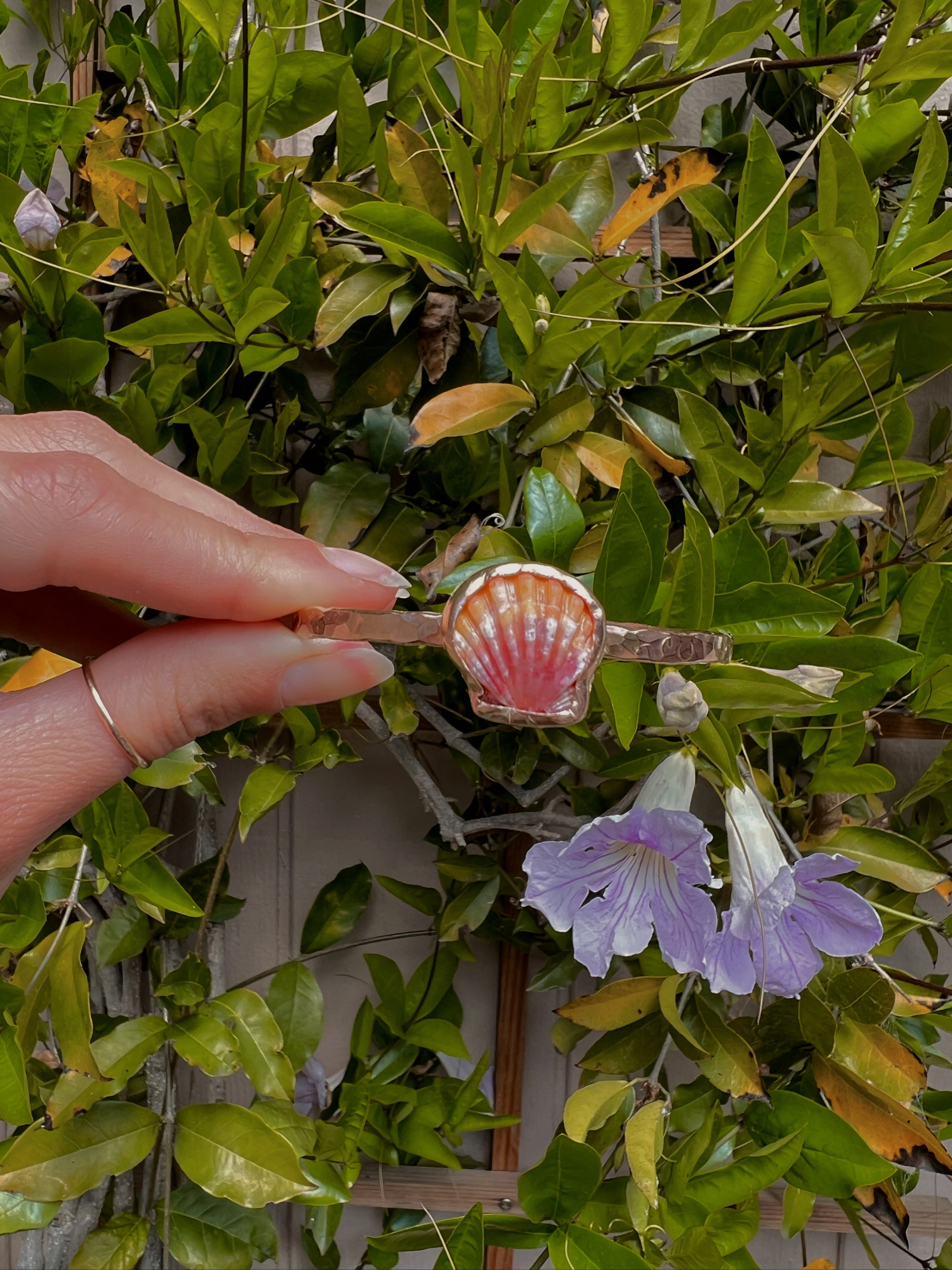 Hawaiian Sunrise Shell Bangle by Toasted Jewelry
