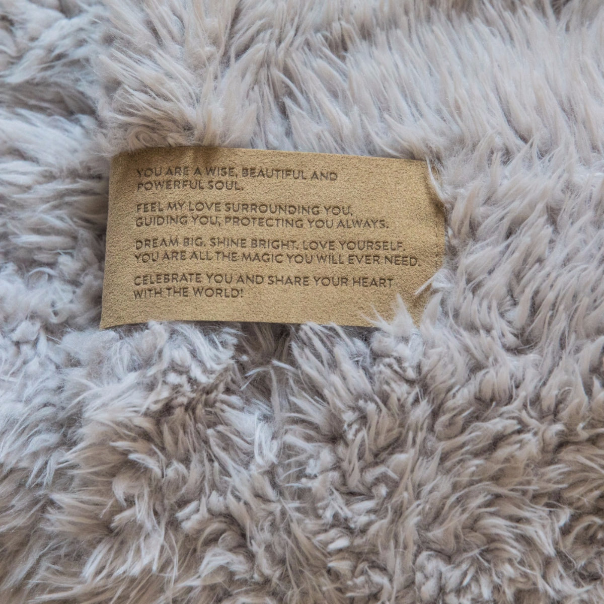 ANGEL PLUSH BLANKET | BIG - SILVER CLOUD-4