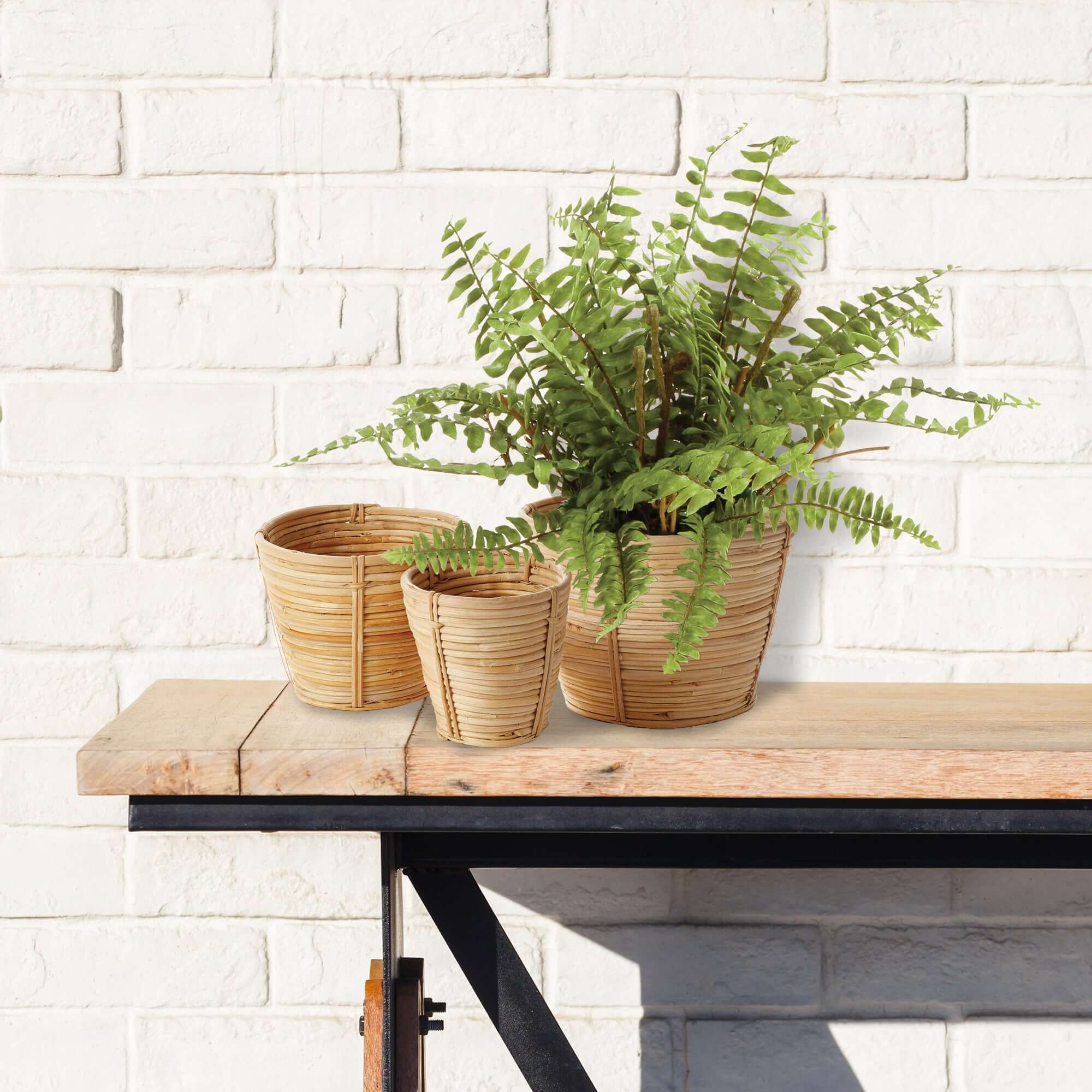 Handwoven Small Rattan Basket Planters (Set of 3)