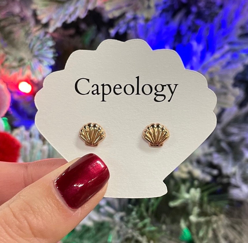 Seashell Earrings