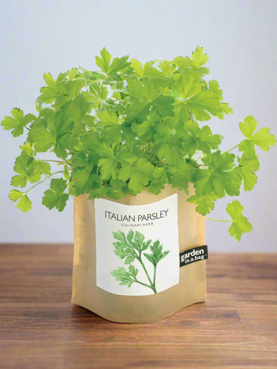 Garden in a Bag - Herbs