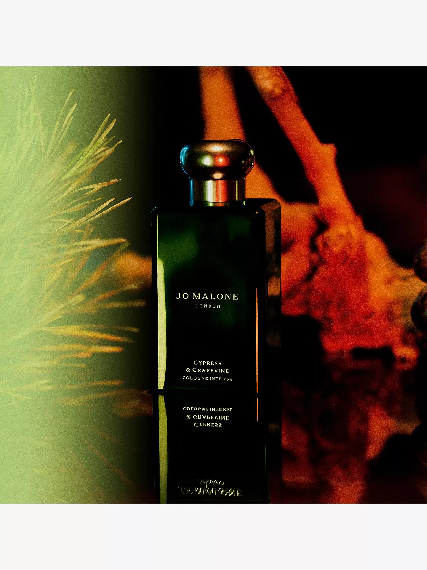 JO MALONE LONDON Cypress & Grapevine cologne intense 50ml