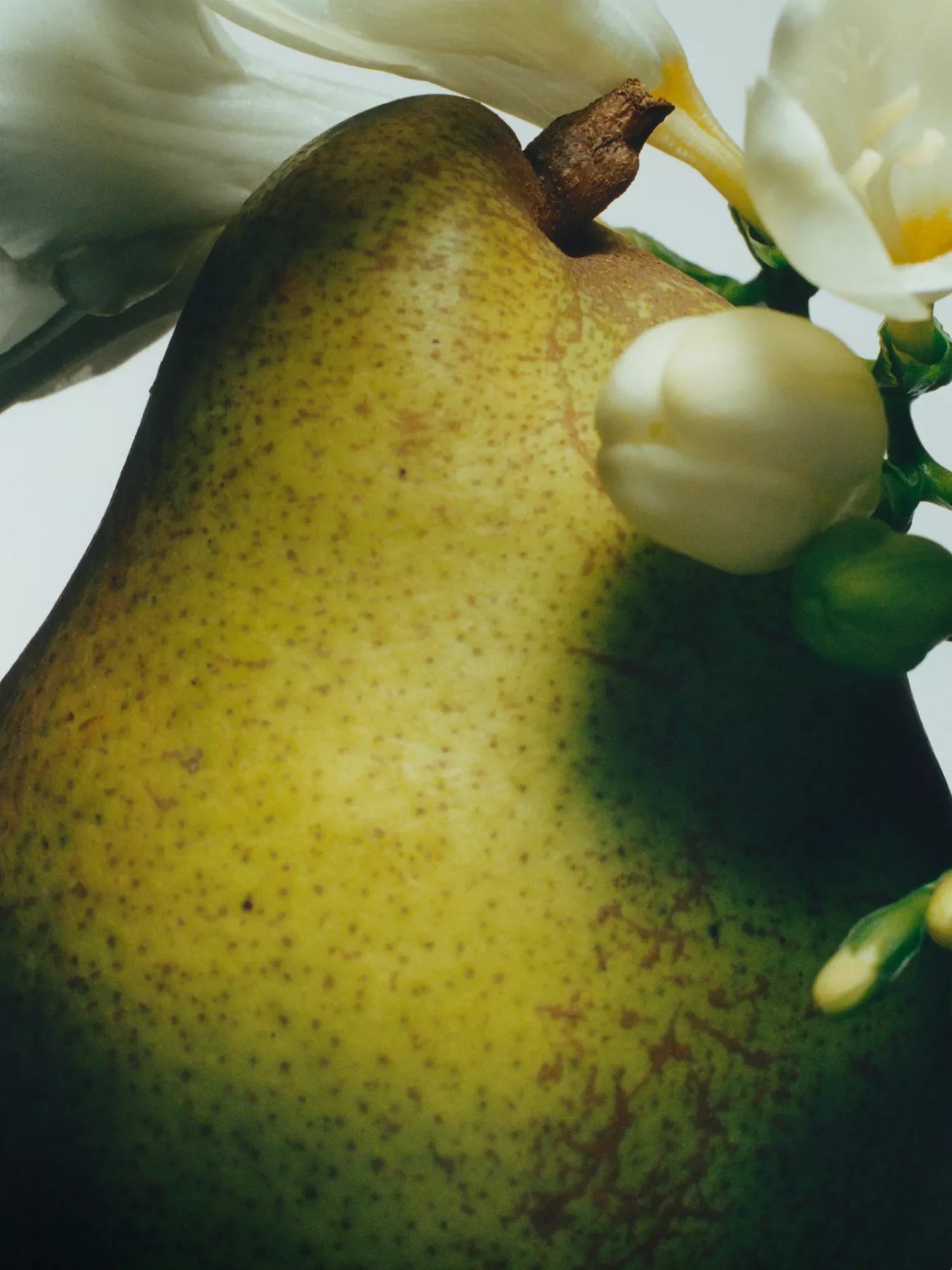 JO MALONE LONDON English Pear & Freesia scent surround diffuser 165ml