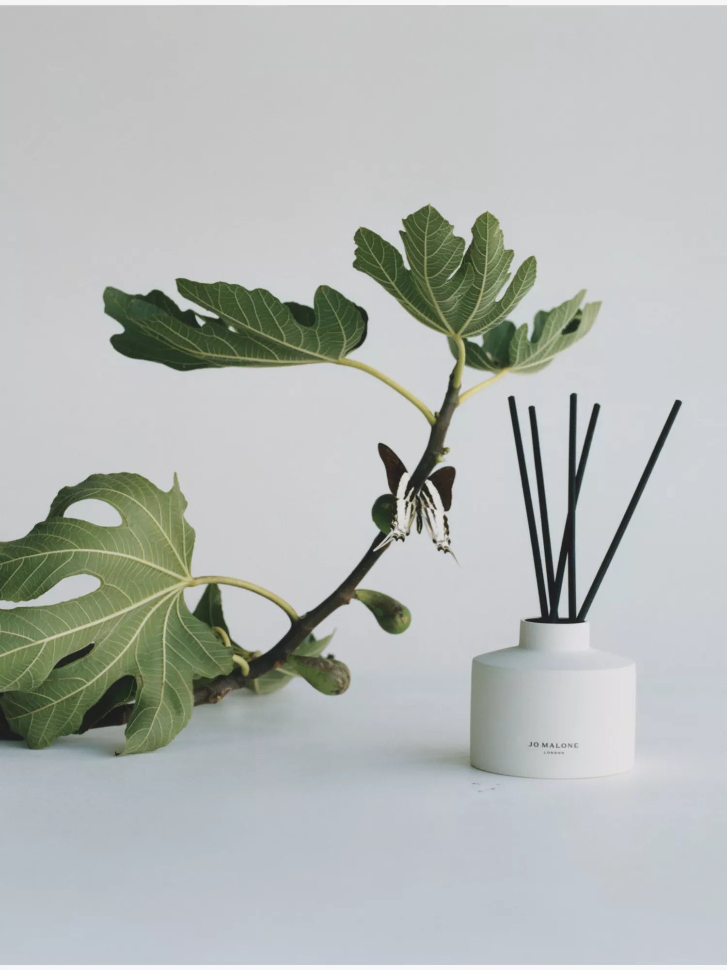 JO MALONE LONDON Fresh Fig & Cassis diffuser & refill 350ml