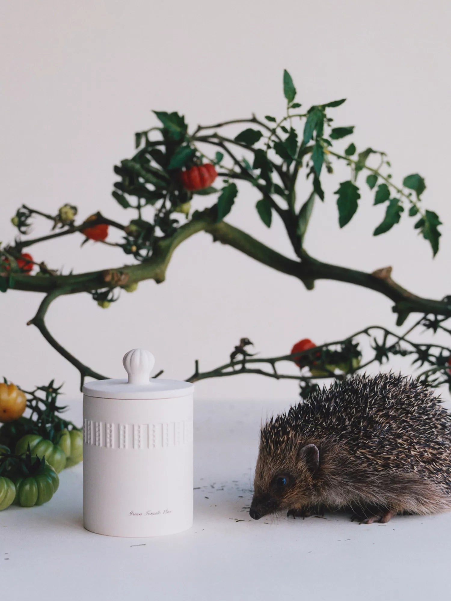 JO MALONE LONDON Green Tomato Vine scented candle 300g