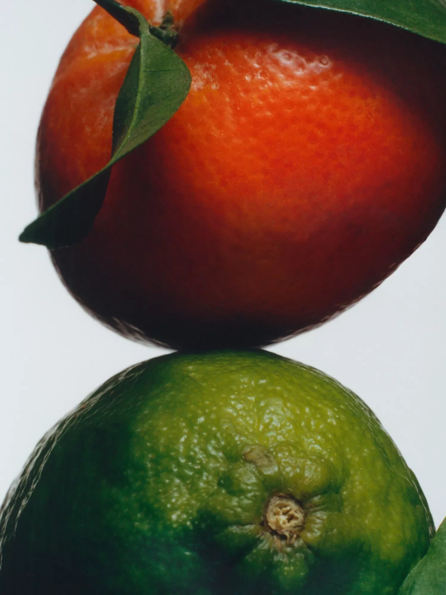 JO MALONE LONDON Lime, Basil & Mandarin conditioner 250ml