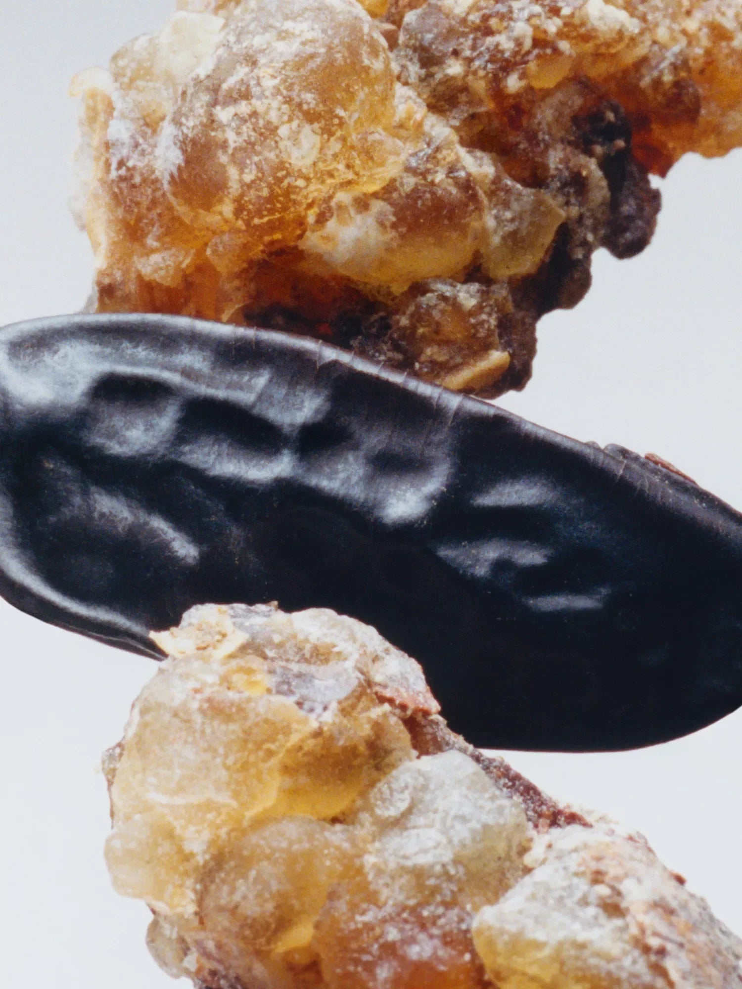 JO MALONE LONDON Myrrh & Tonka Cologne Intense 100ml