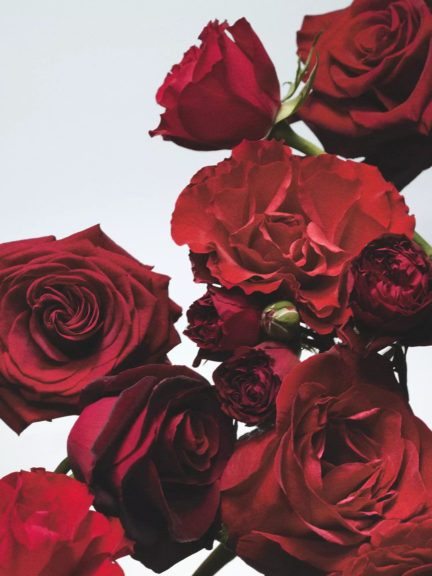 JO MALONE LONDON Red Roses Body & Hand Wash 250ml