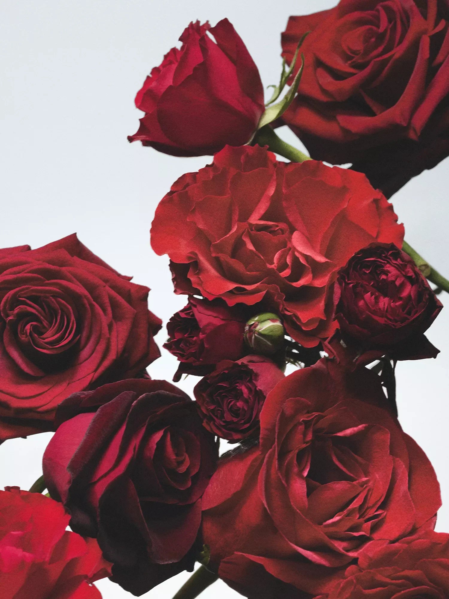 JO MALONE LONDON Red Roses bath oil 250ml