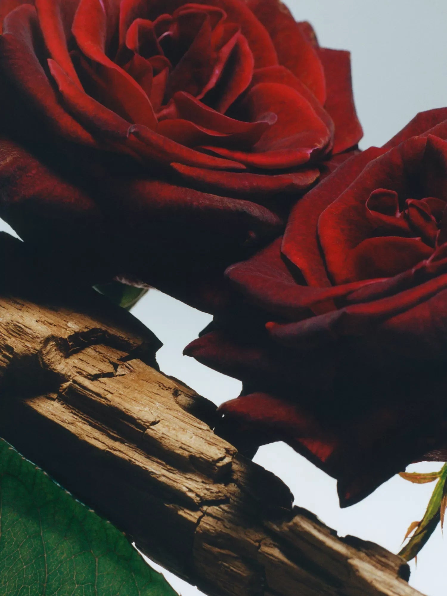 JO MALONE LONDON Velvet Rose & Oud Cologne Intense Classic Candle 200g