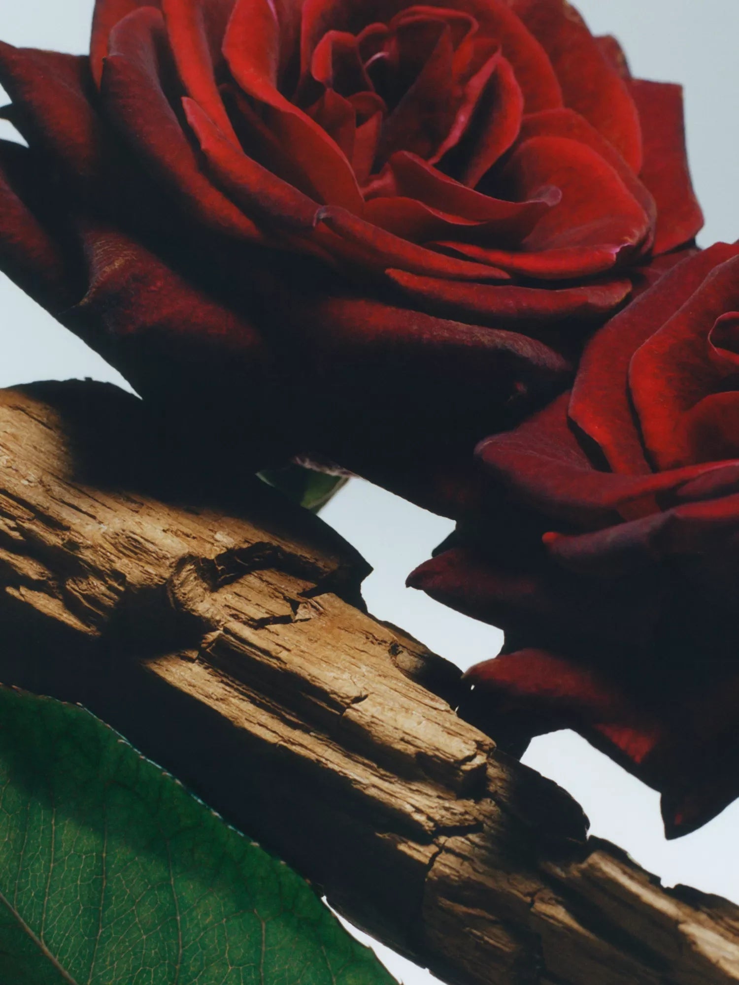 JO MALONE LONDON Velvet Rose & Oud diffuser 165ml