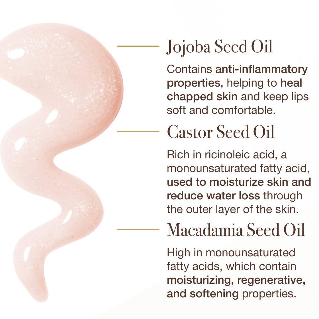 The Lip Slip® Gloss by Sara Happ