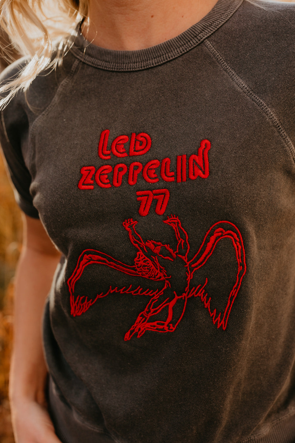 Led Zeppelin '77 Terry Raglan Shirt by People of Leisure