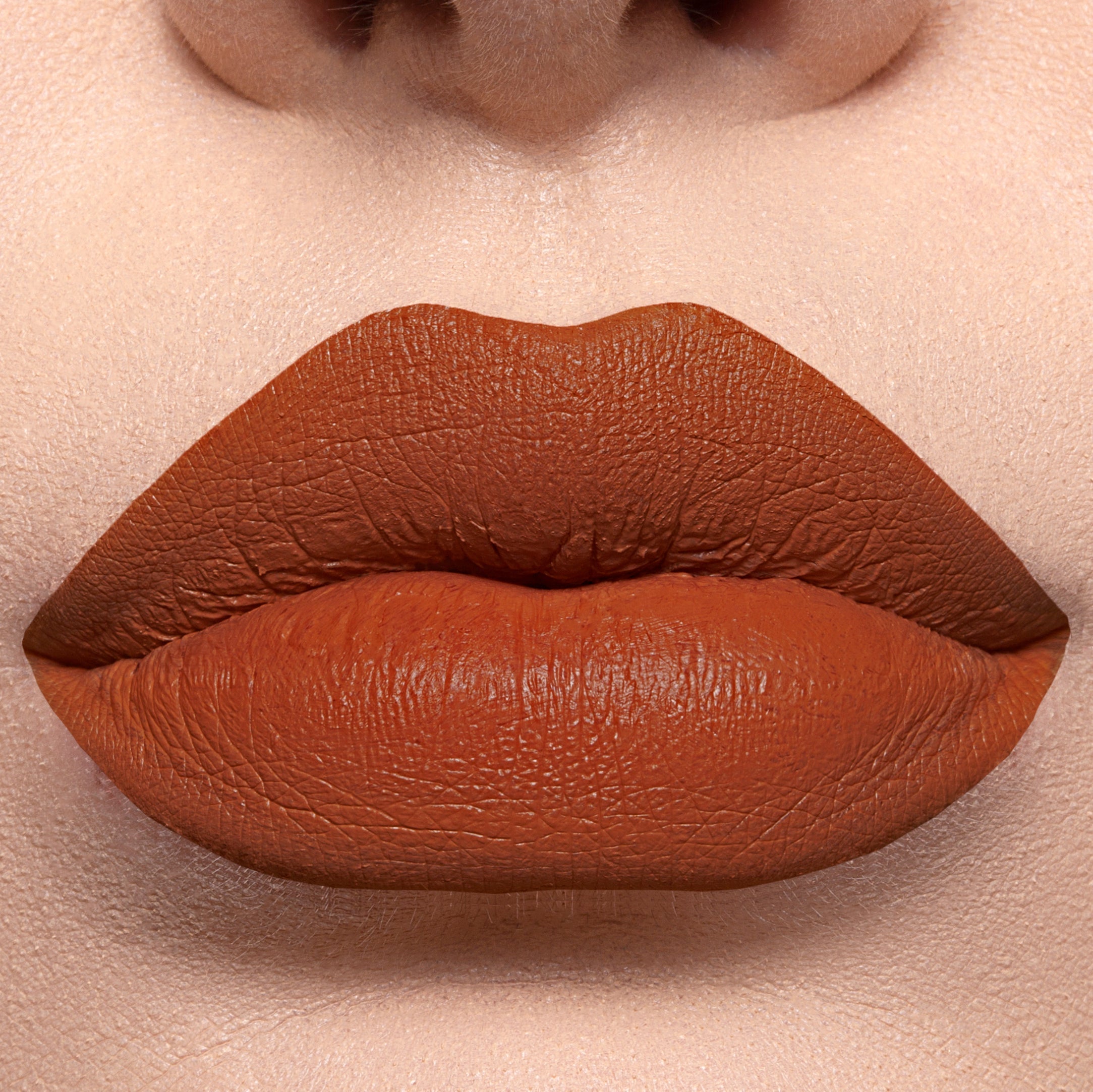Long Lasting Liquid Lipstick - PSL