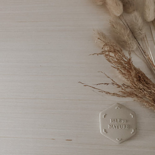 Pagua Bay Scent Coin by Isle de Nature