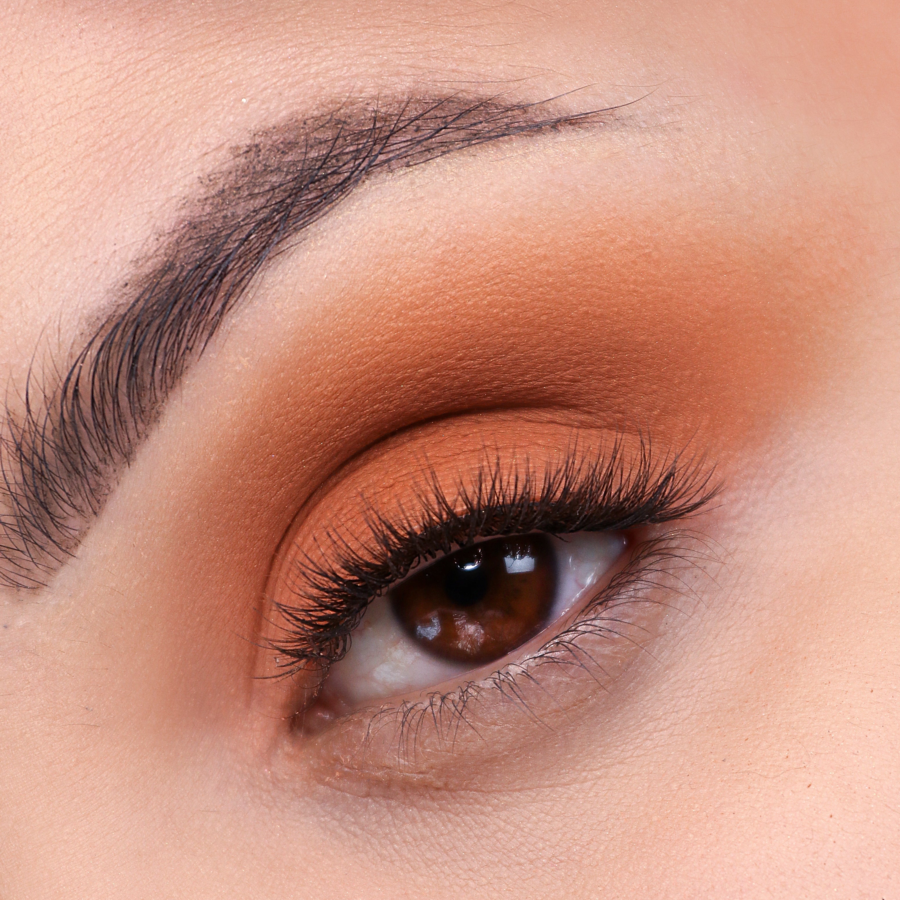 Signature Palette - Getaway