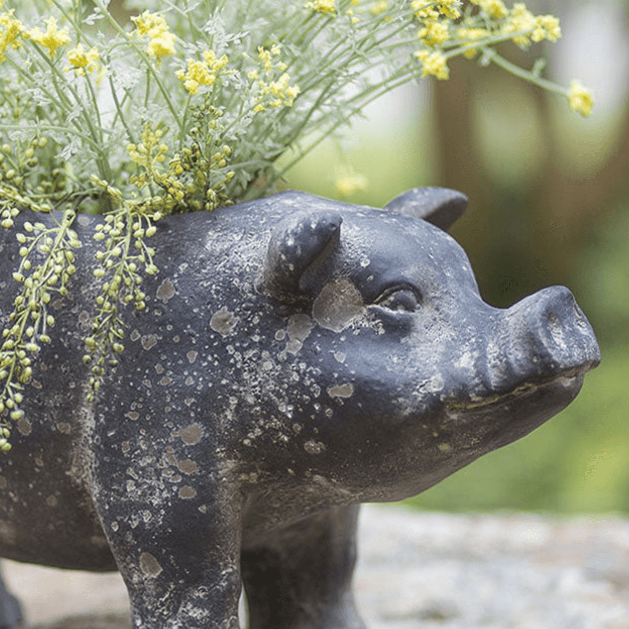 Cottagecore Rustic Pig Planter