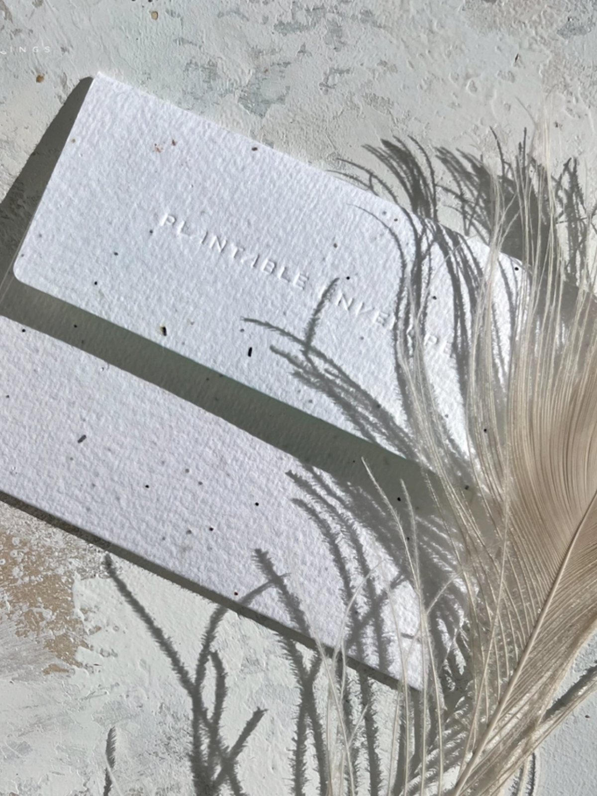 Full Bloom - Seeded Birthday Card