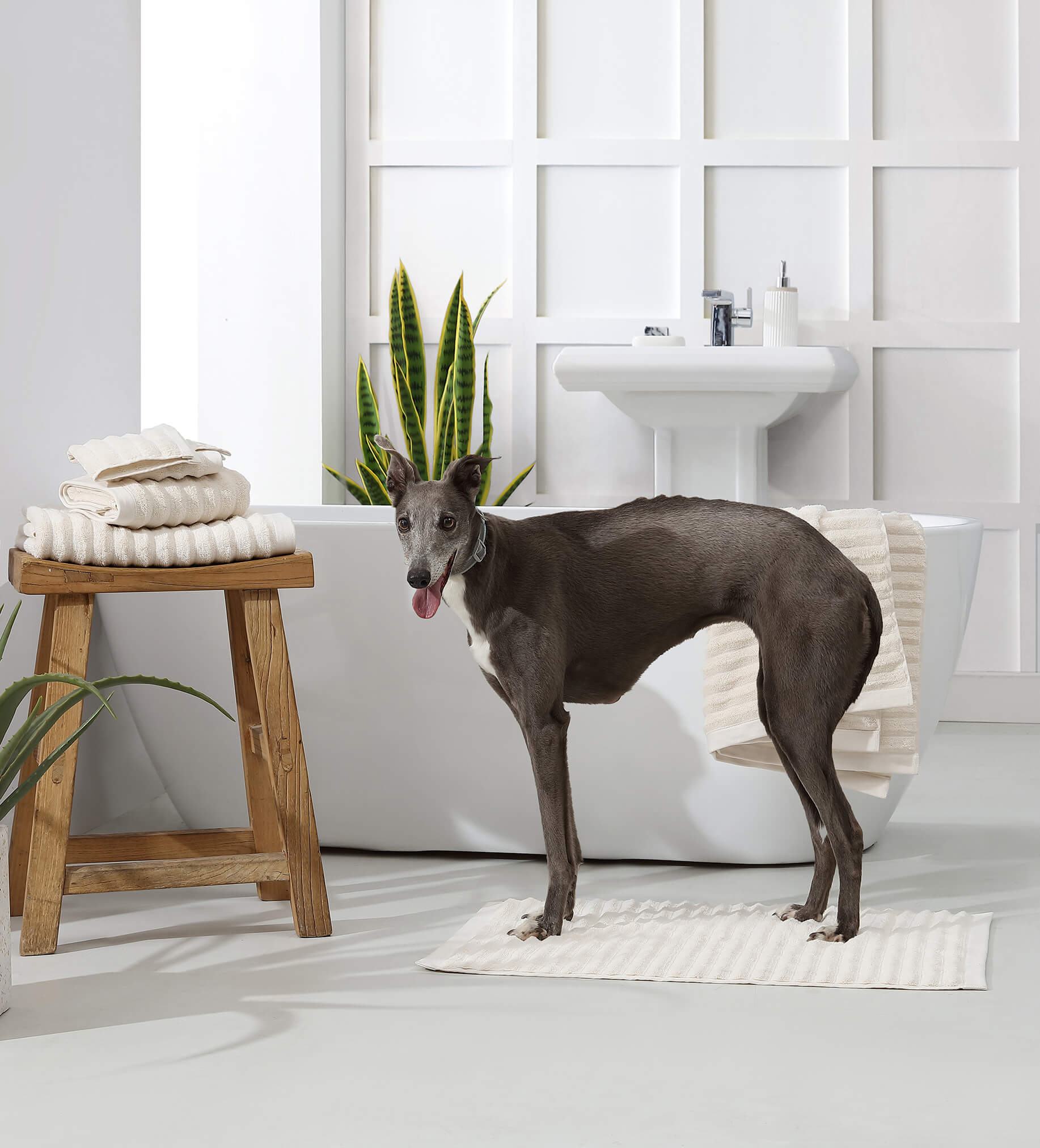 Turkish Cotton Rib Towel Set