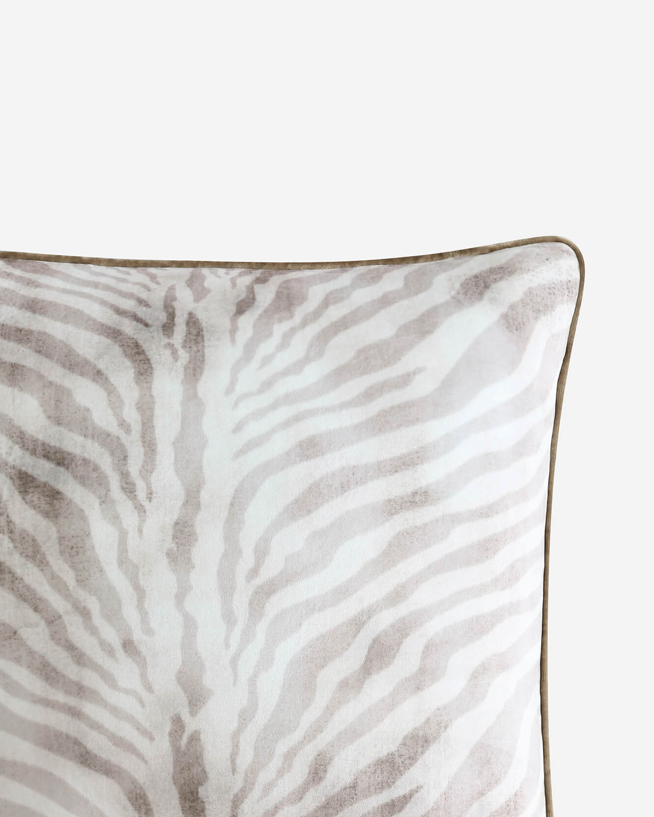 Zebra Throw Pillow