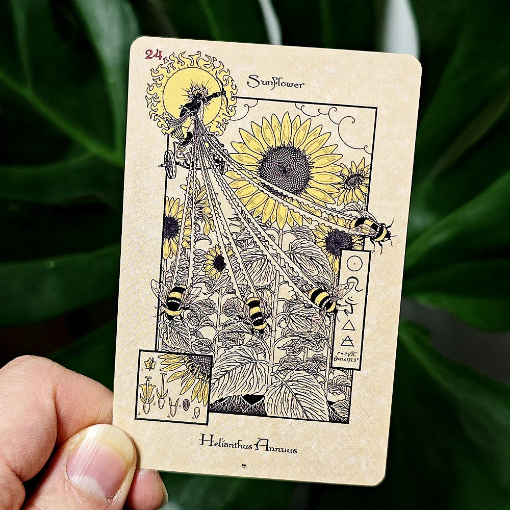 The Magickal Botanical Oracle Deck