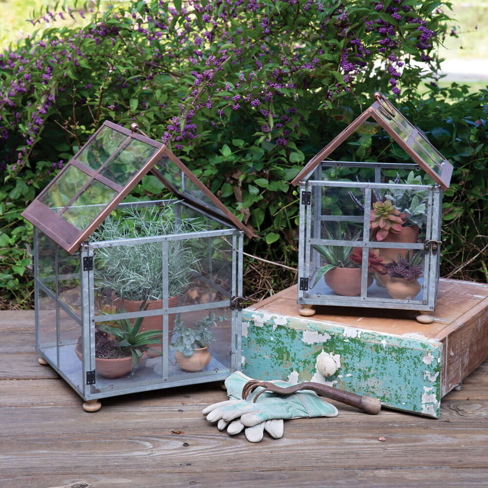 Vintage Farmhouse Glass and Metal Terrariums (Set of 2)