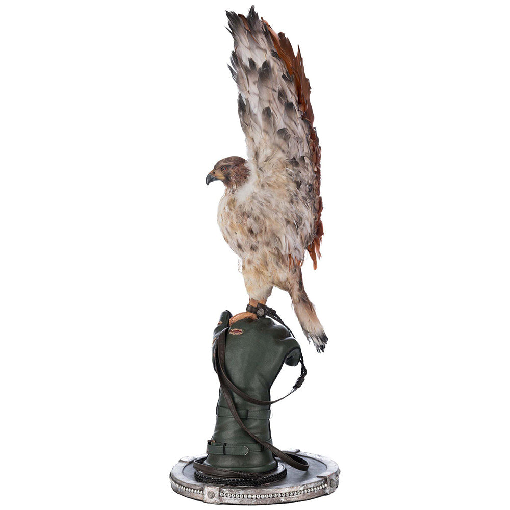 Argon Hawking on Perch by Katherine's Collection