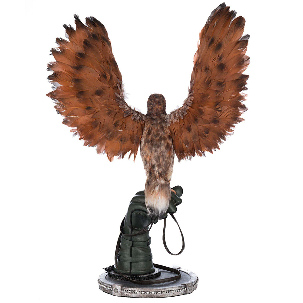 Argon Hawking on Perch by Katherine's Collection