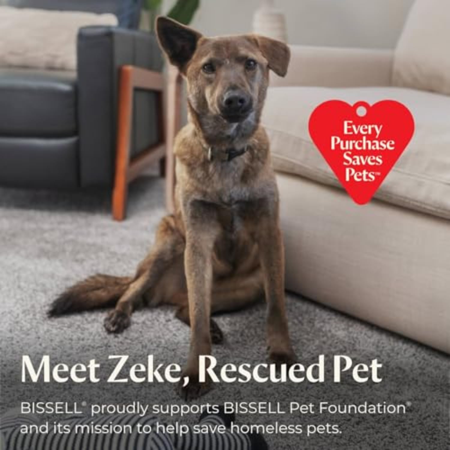 BISSELL Little Green Multi-Purpose Portable Carpet and Upholstery Cleaner, Car and Auto Detailer, with Exclusive Specialty Tools, Green, 1400B