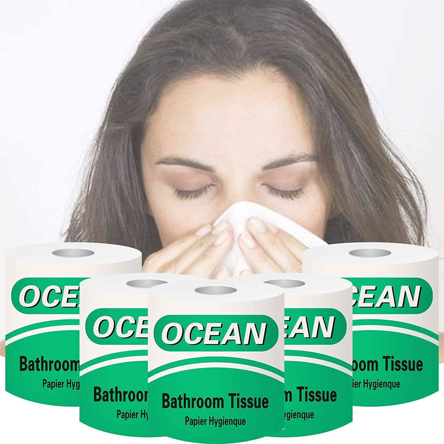 Bosonshop Toilet Paper 100% Recycled 3-Ply Bath Tissue, 1 Packs of 10 Rolls, Super Soft