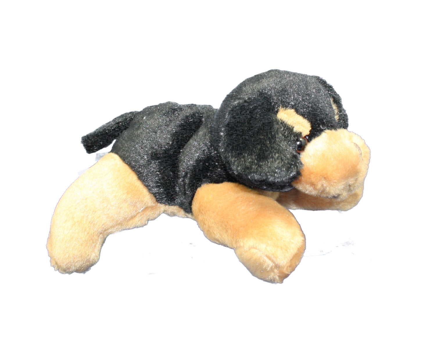 Pesky Pups - Black Brown