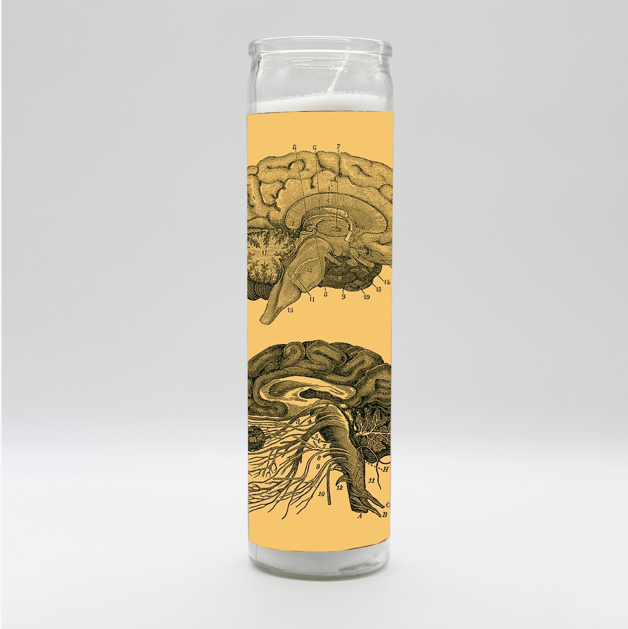 Saint Anatomy Brain Candle by BOBBYK