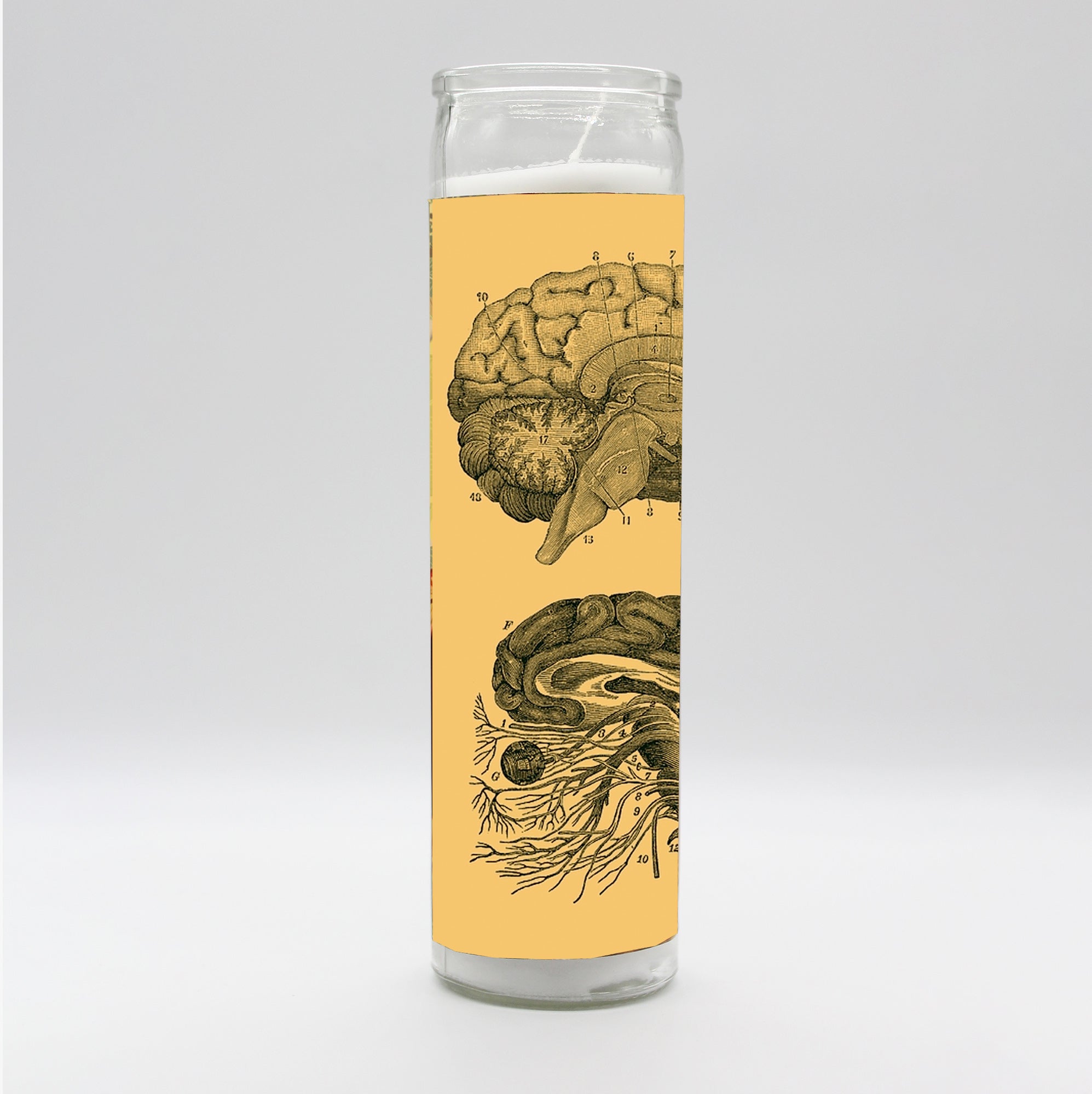 Saint Anatomy Brain Candle by BOBBYK