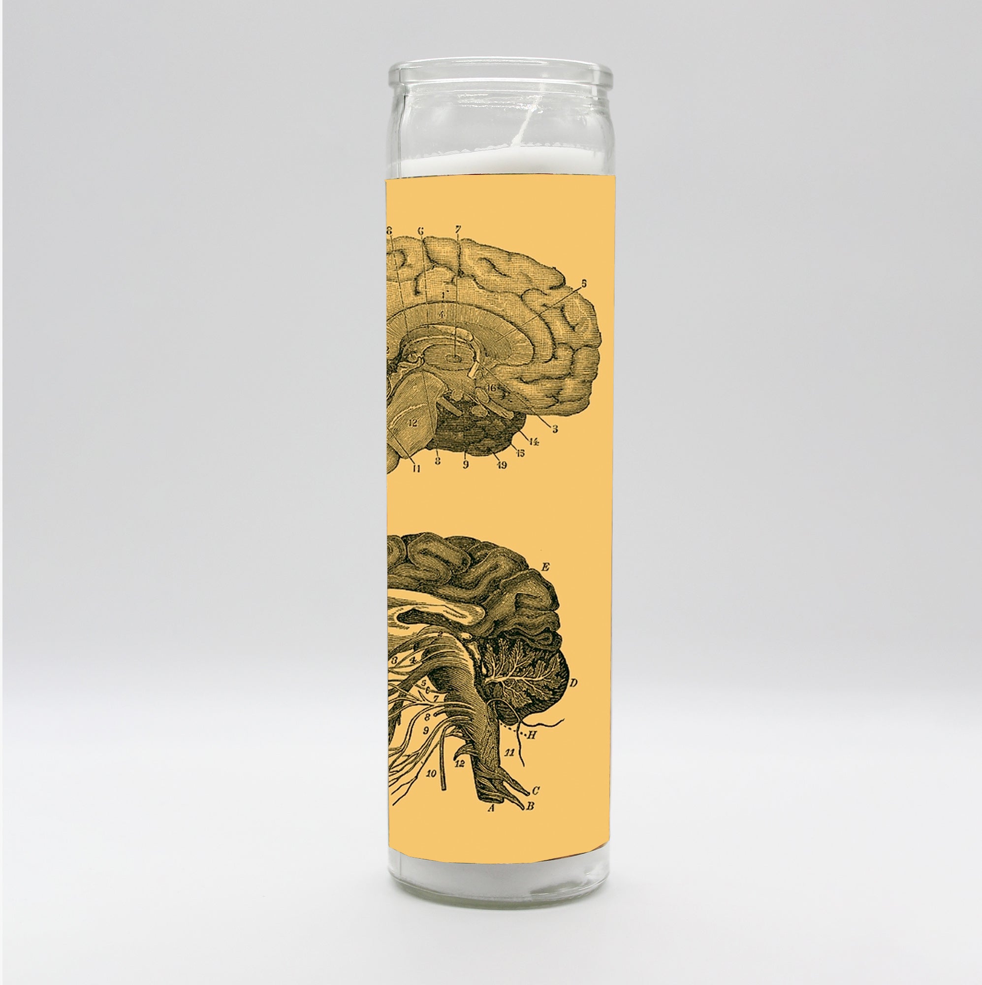 Saint Anatomy Brain Candle by BOBBYK