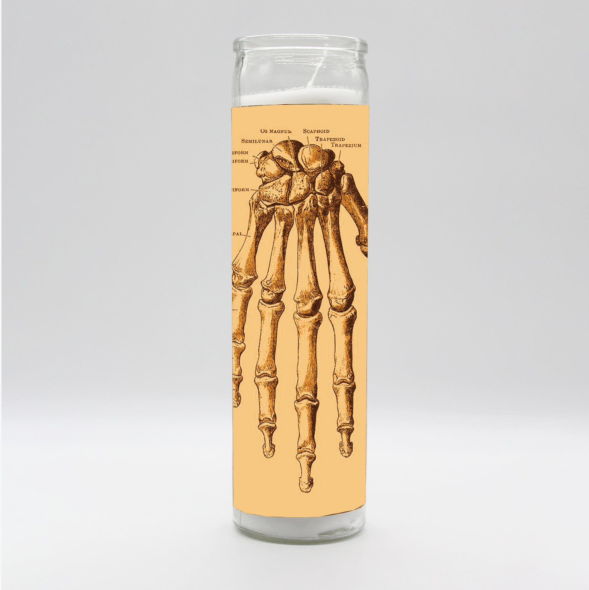 Saint Anatomy Hand Candle by BOBBYK