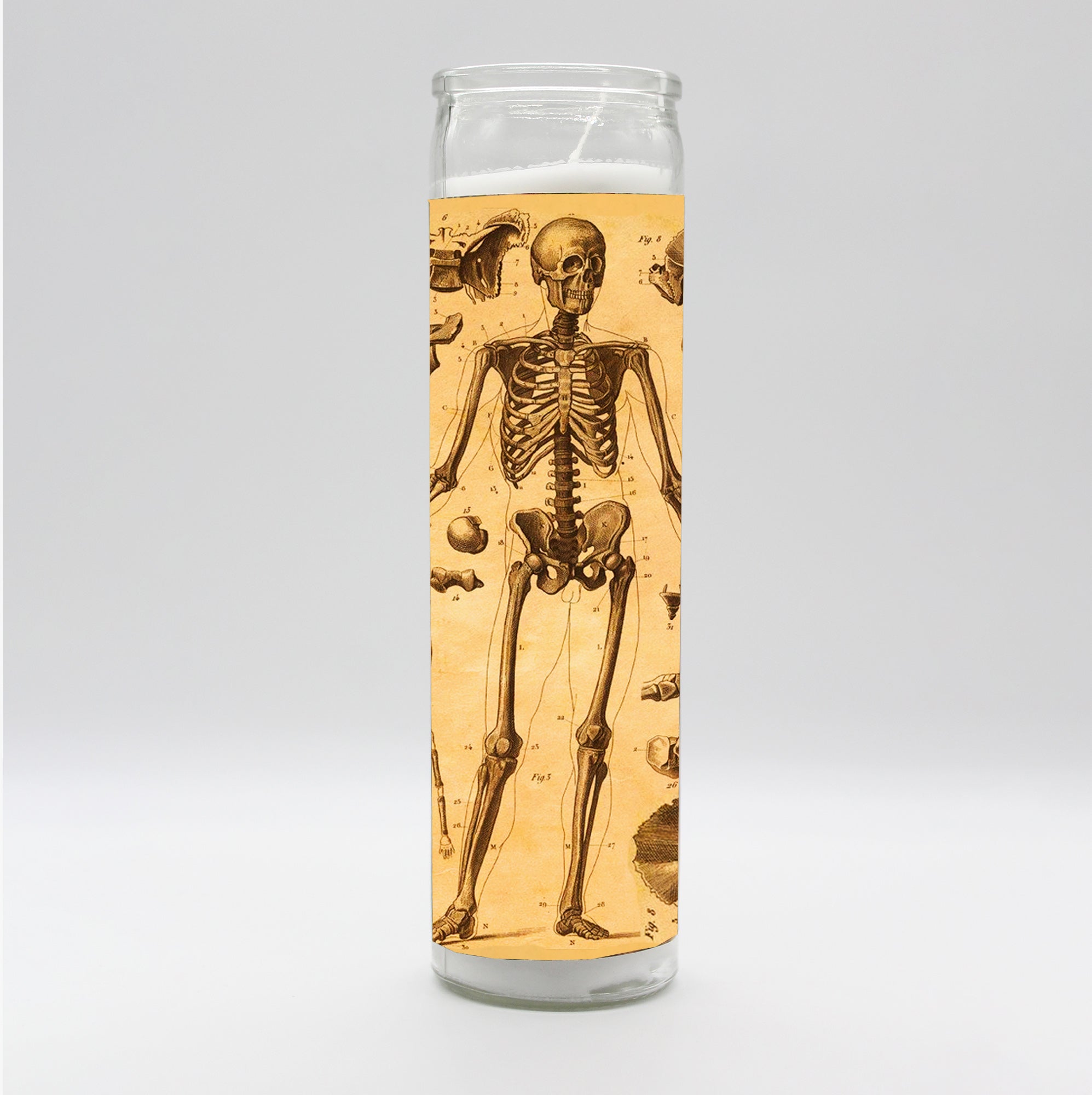Saint Anatomy Skeleton Candle by BOBBYK